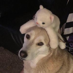 Meet your Posher, Wendy